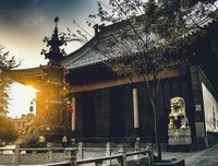 野史｜ 花全部身家，给别人老婆买了个坟