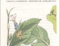 小猎犬号航海记（插图全译本）读后感1000字