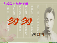 《别跟狗争老大》经典读后感有感
