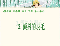 自省句子