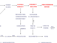 《固执》的句子