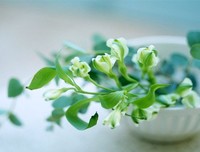 怎样不被人带到沟里去？