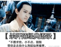杀阡陌优美的句子