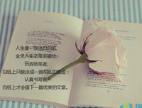 hao优美的句子