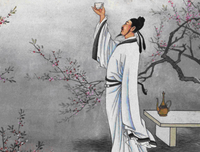 朱雀的读后感大全