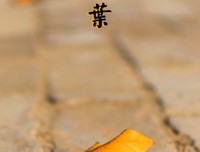 有关一叶知秋的句子