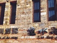 《我住在这里的理由》经典观后感1000字