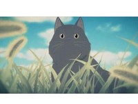 《她和她的猫》的影评大全