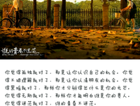 关于谁的青春不迷茫的句子