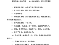 爱情公寓经典的句子