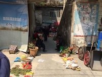 医者布衣句子