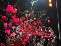 隐秘的角落——芦塘新村的底蕴