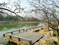 关于大浪淘沙的名言