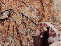 关于自带好只下的句子