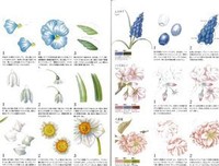 唯美日语小句