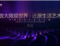 显微镜下的成都读后感1000字