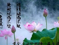 描写清澈见底的经典句子
