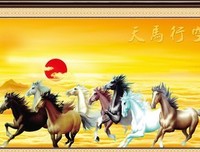 关于天马行空的座右铭
