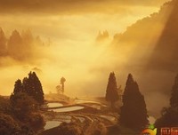 描写无所谓的经典句子