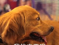 你和一好么？在我看不见的用象有主说过用象说来那作恙