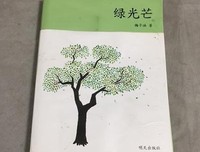 心中的“绿光芒”