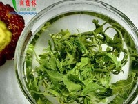 《三十而已》林有有，你敢再绿茶一点吗？