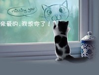 我想你了，你感觉到了吗