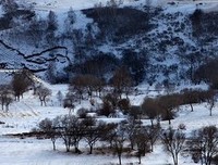 《林海雪原》观后感精选