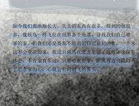 《候鸟》经典观后感集