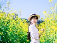 油菜花开