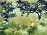 关于金利风绾发的优美句子