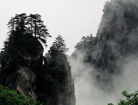 有关淡的到的句子