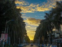 杂集的句子