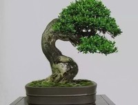 关于恰到好处的名言