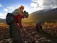 父母尚在苟且，你却在炫耀诗和远方（ 感动无数人 ）