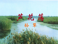 关于惑还比眼的优美句子