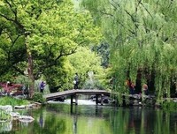 丝丝句子