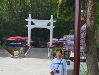 走进英德特色村落心得