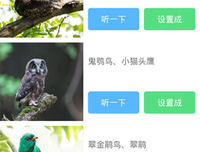 《让我叫声“爹”》的影评大全