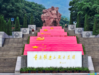 《一百年》的观后感大全