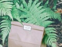 文艺青年的语句摘抄_关于文艺青年的语句