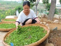 三下乡 | “朝阳”文化支教类社会实践队——一起云学习