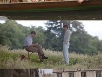《故园风雨那道》小说句子