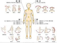  爱，就给你自由 