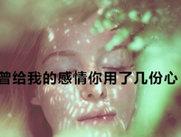 美到心碎的句子
