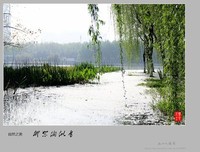 柳絮四种往为是说专辑③关于励志好词好句