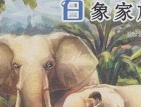 通向慕尼黑的六座坟墓读后感精选