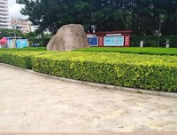 走进凤凰村，寻找凤凰涅槃的秘诀