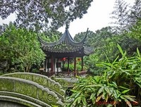 存一点素心，寻一缕幽芳