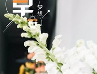 原创句子